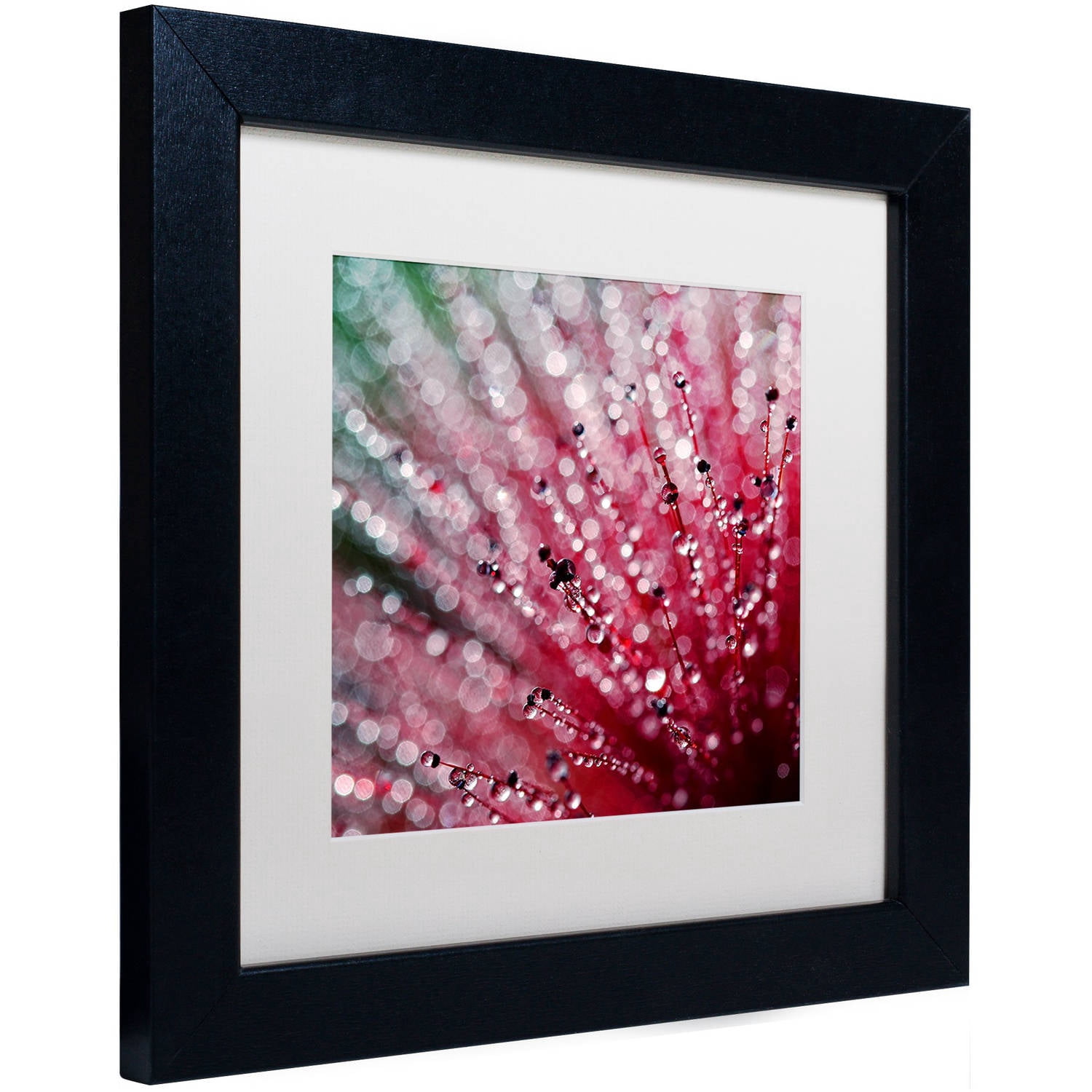 Trademark Fine Art "Pink Melody" Canvas Art by Beata Czyzowska Young, White Matte, Black Frame