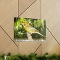 thumbnail image 6 of Canary Hunting Canary on Hunt Print Animal Wall Art Wildlife Canvas Prints Wall Art Ready to Hang Unframed, 6 of 18