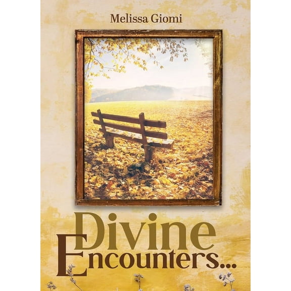 Divine Encounters..., (Paperback)