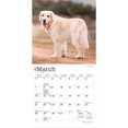thumbnail image 3 of Golden Retrievers | 2027 7x14" (Hanging) Wall Calendar, 3 of 9