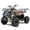 Camo, variant on Tao Motor D125 107 Cubic Centimeters ATV