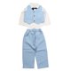 thumbnail image 4 of Conjunto de traje para niño, camisa de manga larga, pantalón, chaleco, estampado de rayas, pajarita, ropa de caballero, trajes azules 100, 4 of 14