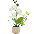 thumbnail image 1 of Flor falsa de doble tenedor, simulación de phalaenopsis, decoración creativa de bonsái pequeño, planta artificial en maceta, planta verde, 1 of 5