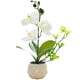 thumbnail image 1 of Flor falsa de doble horquilla, simulación de phalaenopsis, decoración creativa de bonsái pequeño, planta artificial en maceta, planta verde, 1 of 5