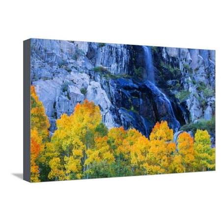 Fall Color and Waterfall Bishop Creek Canyon Eastern Sierras California Stretched Canvas Print Wall Art By Vincent