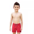 thumbnail image 6 of Beautiful Giant Boys Casual Swim Trunks, Quick-Dry Hawaii Style, Mesh Liner, Sizes 8-18, 6 of 7