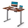 FLEXISPOT 48" x 30" Home Office Height Adjustable Standing Desk Memory