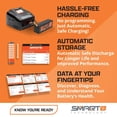 thumbnail image 3 of Batería Spektrum 6.6V 2200mAh 2S 15C Smart Life Receptor Universal IC3 Mediano, 3 of 3