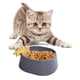 thumbnail image 2 of Comedero para gatos con forma de piña, ligero, portátil y multifuncional. Gris, 2 of 9
