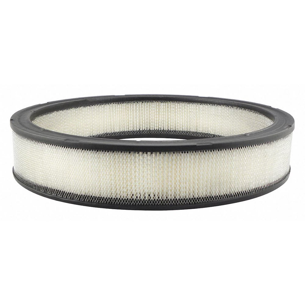 Baldwin Filters Air Filter, Round HAWA PA2024