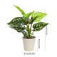 thumbnail image 3 of Artificial Potted Plants Realistic Simulation Green Plants Indoor Home Desk Bookshelf Decor Faux Greenery Decorative Houseplants for Living Room Office, 3 of 6