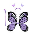 thumbnail image 4 of Runquan Fairy Costume Set Girls Butterfly Stick Halloween for Theme Parties Carnivals, 4 of 8