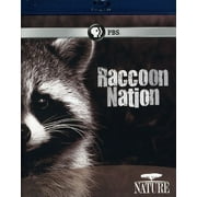 Angle View: Nature: Raccoon Nation (Blu-ray)