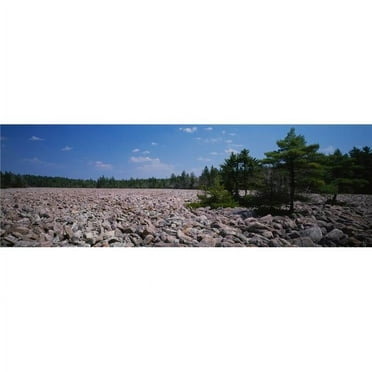 Boulders On A Landscape Hickory Run State Park Pennsylvania USA Poster Print