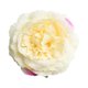 thumbnail image 2 of 10x Cabezas de Flores de Rosas Artificiales para de Muñeca - Multi, tal se describe champán BLESIY Cabezas de flor de seda artificial, 2 of 5