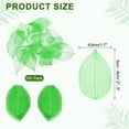 thumbnail image 2 of 100 Pcs Hojas Esqueléticas Verdes, 2"- 3" Hojas Prensadas de Árbol de Caucho para Álbumes de Fotos y Manualidades, 2 of 7