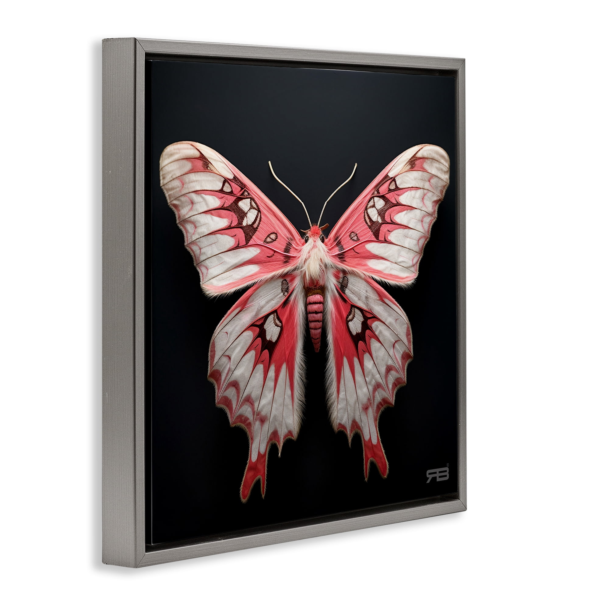 Stupell Industries Red & White Moth Animals & Insects Painting Gray Floater Framed Canvas Art Print Wall Art, 25 x 25
