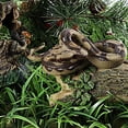 thumbnail image 4 of Figura de serpiente de goma de juguete realista para accesorios de broma de Halloween, adorno de cobra de cola de cascabel de pitón (1 unidad), 4 of 5