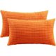 thumbnail image 1 of Funda de almohada, funda de almohada decorativa, funda de almohada lumbar de pana suave de 2 piezas, funda de cojín para decoración del hogar para sofá, cama, sofá, dormitorio, coche Vhermosa CZJJ-ZC24-1, 1 of 5