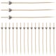 thumbnail image 1 of Party Appetizer Picks Bamboo Sticks Disco Picks Food Decoration Events 100Pcs, 1 of 1