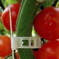 thumbnail image 6 of 50/100Pcs Tomato Veggie Garden Plant Support Clips for Trellis Twine Greenhouse I8G0, 6 of 9