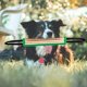 thumbnail image 5 of Juguete para Perro Salvador Almohada de Entrenamiento Verde Masticadores Agresivos, 5 of 7