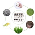 thumbnail image 4 of Bolsas de basura para mascotas bolsa Biodegradable respetuosa con 8Rollo Zulema Bolsas para desechos de caca, 4 of 8