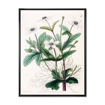 Designart 'Ancient Plant Life XXI' Traditional Framed Canvas Wall Art Print