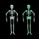 thumbnail image 4 of Esqueleto Que Brilla En La Oscuridad Accesorios De Halloween Decoraciones Para Bares Y Casas Esqueleto Fluorescente Decoraciones Divertidas De Halloween, 4 of 6