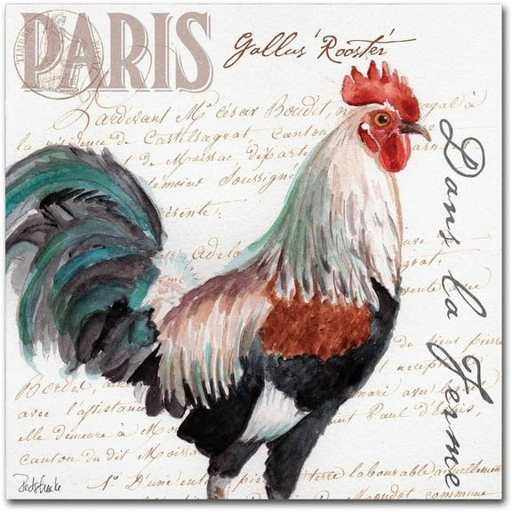 Trademark Fine Art "Dans la Ferme Rooster III" Canvas Art by Jennifer Redstreake