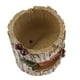 thumbnail image 5 of Macarena Maceta creativa de resina para plantas suculentas Decoración del Hogar, 5 of 8