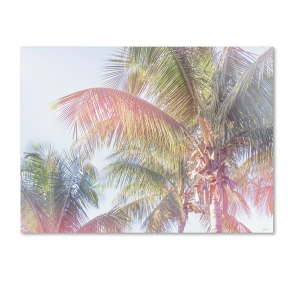 Trademark Fine Art 'Dream Palm I' Canvas Art by Sue Schlabach