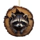 thumbnail image 2 of Adornos para árbol de Navidad | Colgantes de animales | Decoraciones colgantes planas de acrílico 2D para la decoración navideña | Juego de 6 con búhos y mapaches, 2 of 5