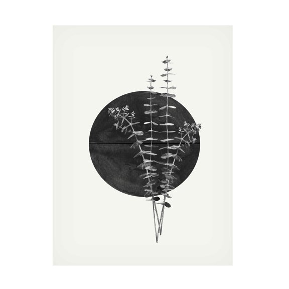 Trademark Fine Art THE MIUUS STUDIO Plant and Black Sun Canvas Wall Art