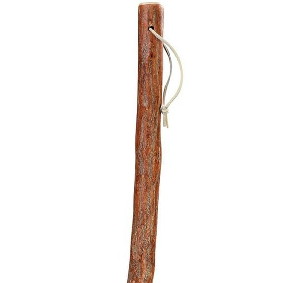 Walking Stick Unisex Cane Natural Sassafras Hiking Stick