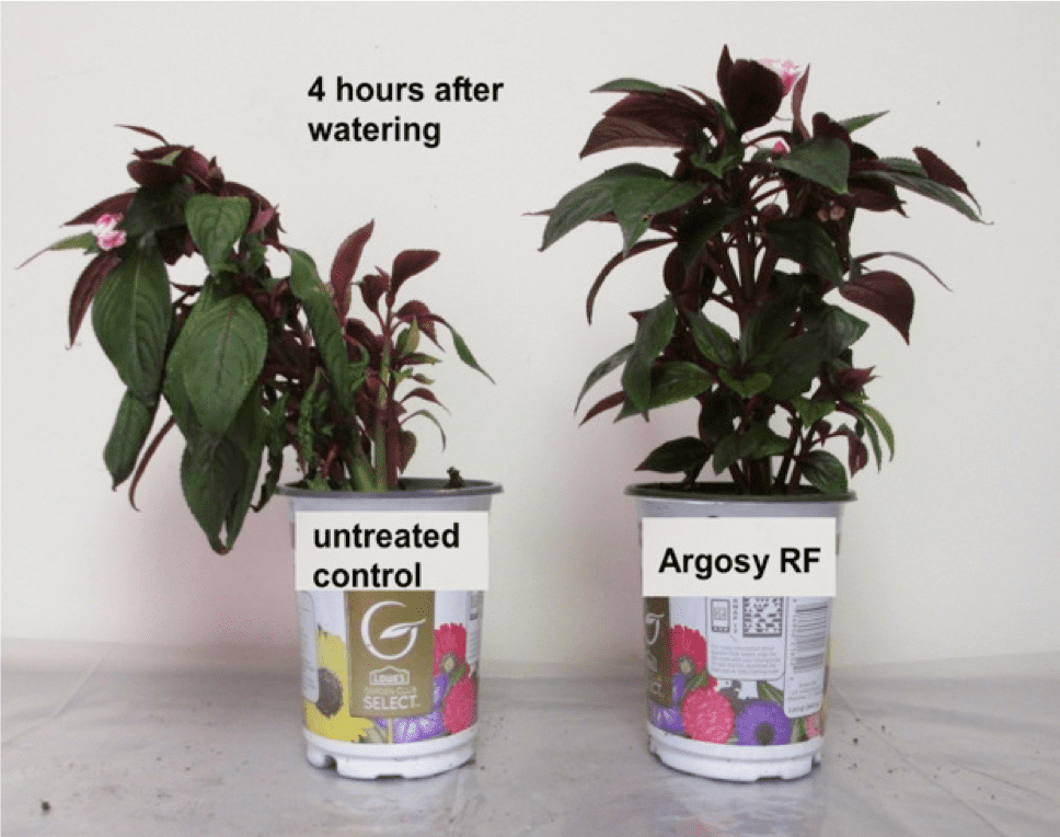 Argosy RF - Mosquito Magician Extender & Water Saver - 1 Gallon