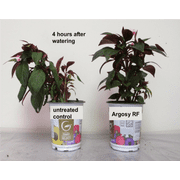 Argosy RF - Mosquito Magician Extender & Water Saver - 1 Gallon