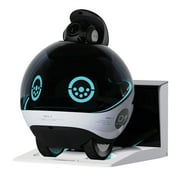Enabot EBO X Indoor Wi-Fi Moving 4K Smart Home Companion Robot Camera with 2-Way Voice, Smart Mapping, Alexa Built-in, and Fall Detection, EB1305311