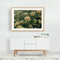 thumbnail image 3 of LADY BANKS CLIMBING ROSE - Photography Flowers Botanical Floral Nature Scenic Summer Oak Framed Wall Art Print 16 x 24 inches, 3 of 6