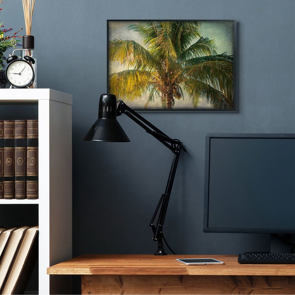 Stupell Industries Distressed Tropical Summer Palm Tree Frond Photograph Designed by Ashley Calhoun