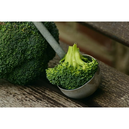 Canvas Print Nutrition Vegetables Frisch Healthy Cook Broccoli Stretched Canvas 10 x (Best Way To Cook Frozen Broccoli)
