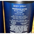 thumbnail image 2 of Bath & Body Works Ocean Signature Deodorizing Body Spray For Men 3.7 oz, 2 of 2