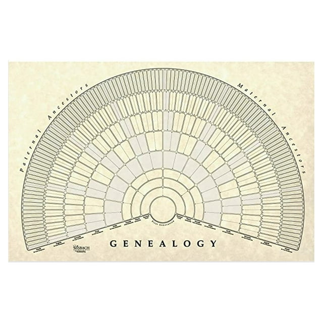 Póster De Cuadro Genealógico, Cuadro De árbol Genealógico En Lienzo Para Sala De Estar