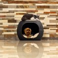 thumbnail image 3 of Cama Para Perro Gato Cojineria De Felpa Lavable Wengue, 3 of 4