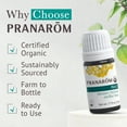 thumbnail image 3 of Pranarom Organic Essential Oil Blend 5ml Calming Lavender, Rosemary, Clary Sage, Pine, Cedarwood, Cardamom, 3 of 7