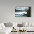 thumbnail image 3 of Trademark Fine Art 'Spring Mist Gray Wolf' Canvas Art by Ron Parker, 3 of 3