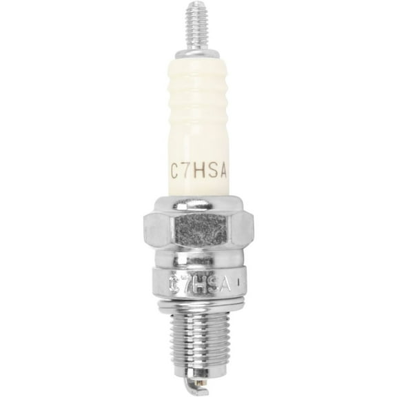 NGK Spark Plugs 4629