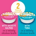 Purina Friskies Lil' Soups Salmon and Tuna for Cats Variety Pack, 1.2