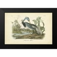 thumbnail image 2 of Audubon, John James 14x11 Black Modern Framed Museum Art Print Titled - Audubons Louisiana Heron, 2 of 5