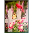 thumbnail image 2 of Cobble Hill 1000 piece Cardinals and Peonies Jigsaw Puzzle, 2 of 2